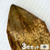 国産竹皮 3枚組 中