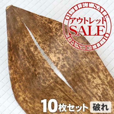 【訳ありアウトレットSALE】<br>国産竹皮（破れ）10枚組<br>サイズ色々、破れや切れ目あり。<br>熟練職人が節間の長い真竹を<br>厳選してお届けします。<br>繰り返し使える丈夫さ、<br>天然の抗菌性、<br>蒸れず美味